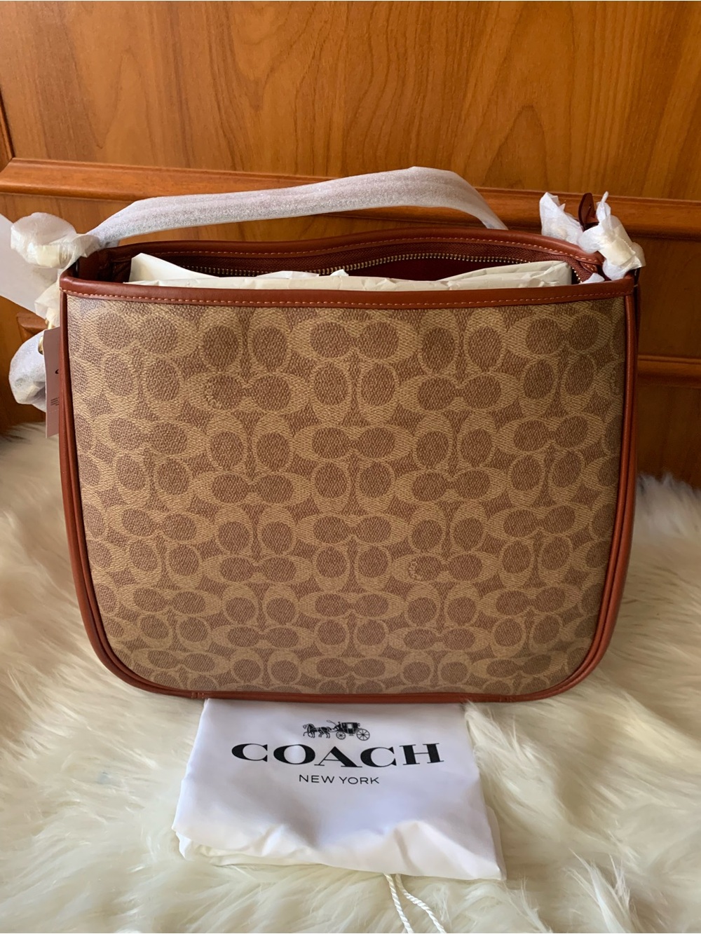 BNWT🧡🧡🧡COACH Cary Shoulder Bag In Signature Canvas
